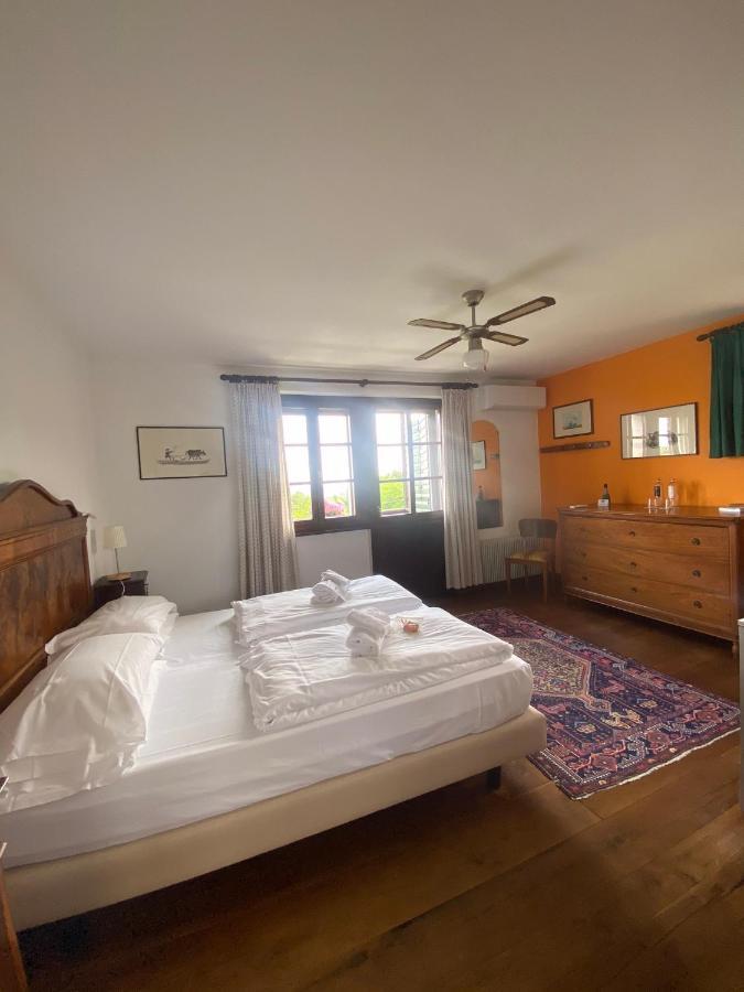 Agriturismo Scacciapensieri Buttrio Bagian luar foto