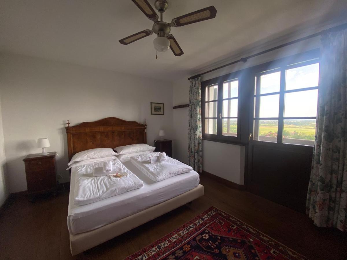 Agriturismo Scacciapensieri Buttrio Bagian luar foto